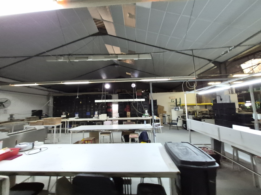 To Let Commercial Property for Rent in Gants Plaza Western Cape